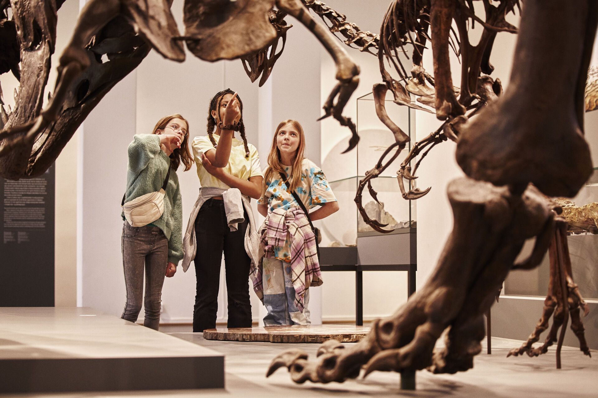 tre jenter ser på dinosaurskjelett
