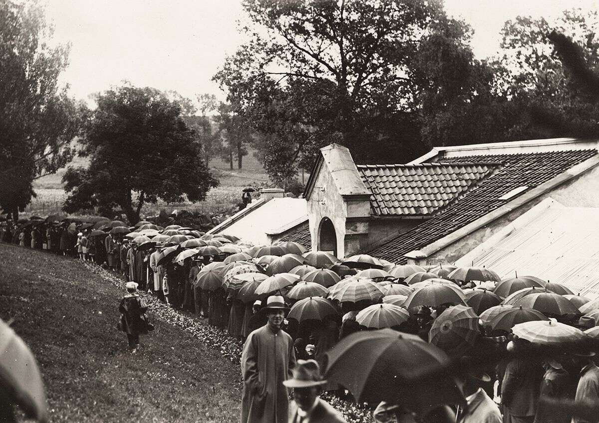 I 1931 stod 12 000 mennesker i kø på Tøyen for å se blomstringen av vannliljen Victoria! Datidens superstjerne blomstret kun i to døgn og var en stor begivenhet i avisene. Tekst og foto: muv.uio.no