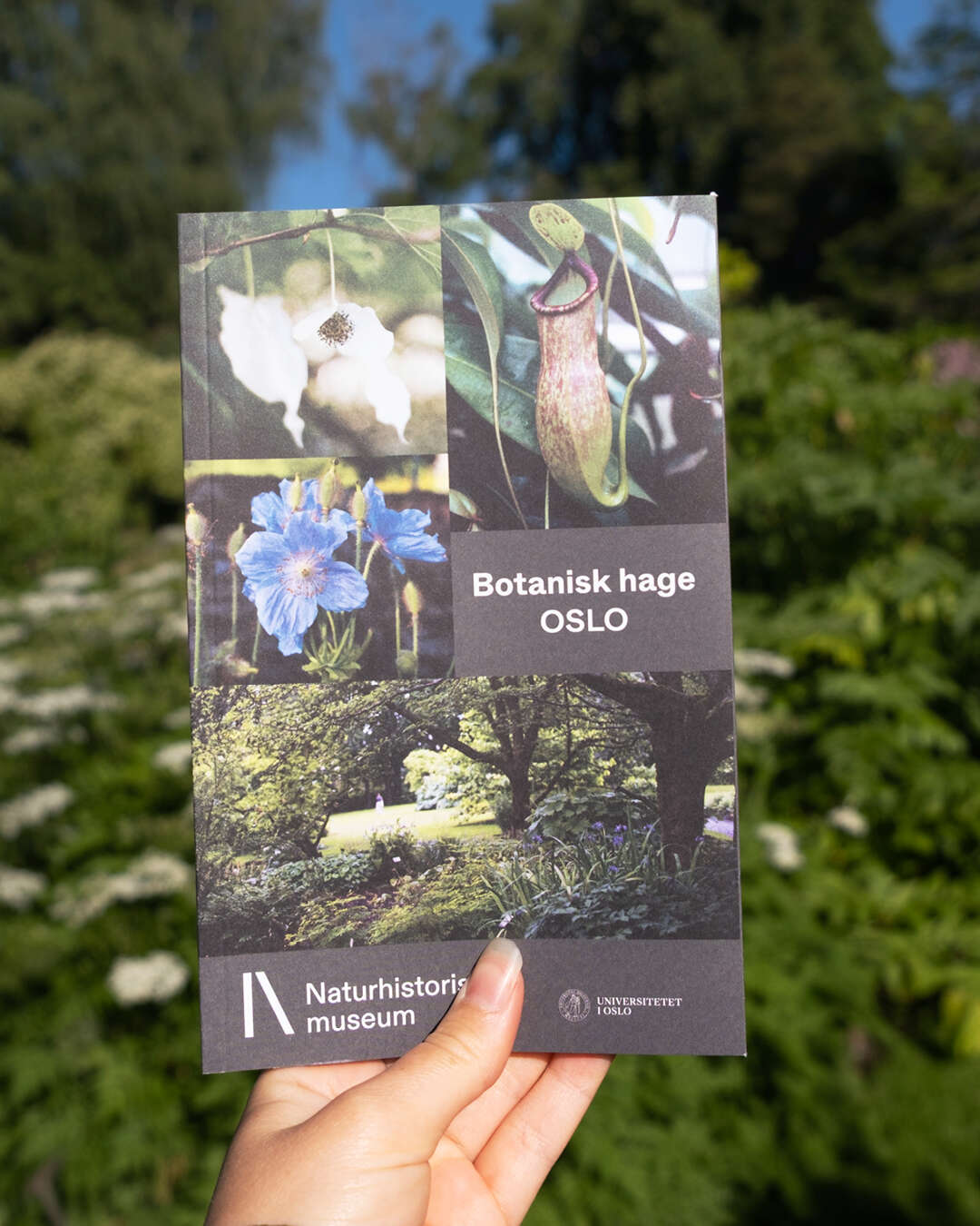Bildet kan inneholde: plakat.
