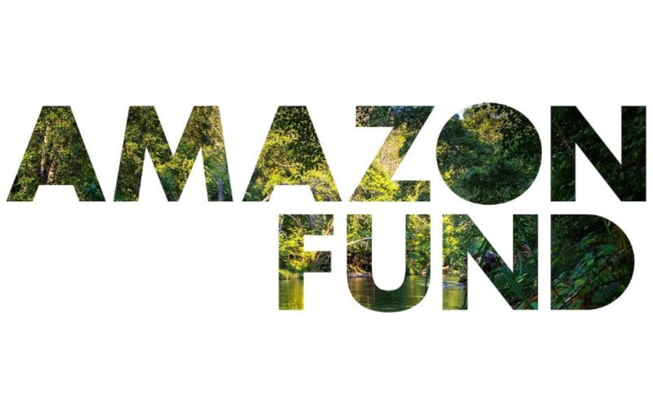 logo of Amazon fund