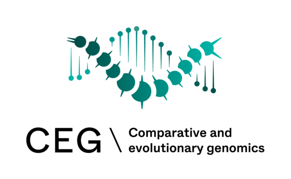 green schematic worms as one strand of a DNA double helix and the other as stylized DNA
