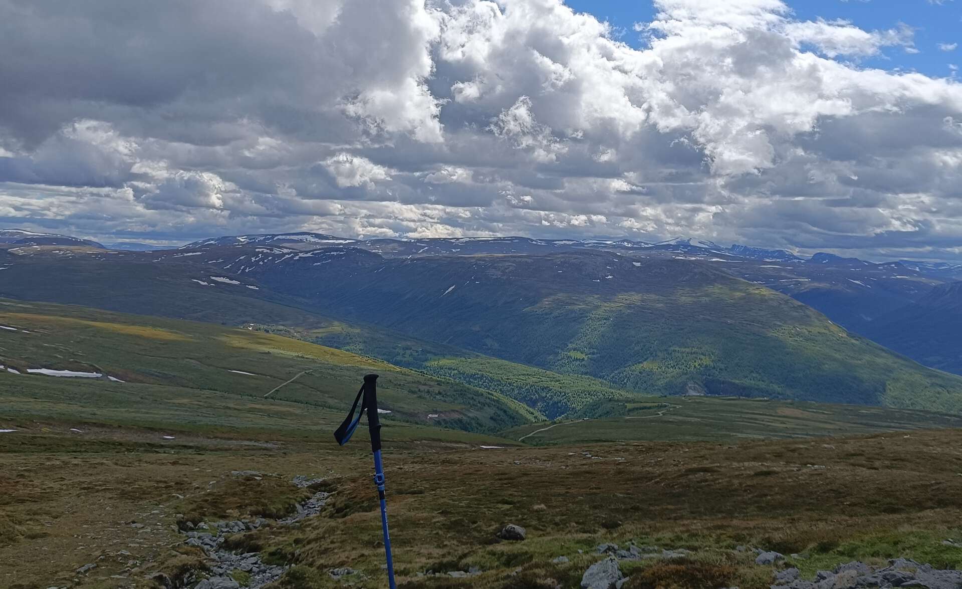 View across an Arctic-alpine mountain landscape at Kongsvoll, with low tundra vegetation, rocky ground, patches of snow on distant mountains and a trekking pole in the foreground beneath a cloudy sky.