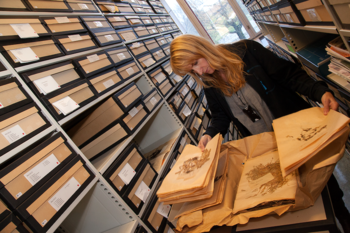 Charlotte is scientific curator of the herbarium of vascular plants at the museum. Here seen sorting dried plants for the herbarium.