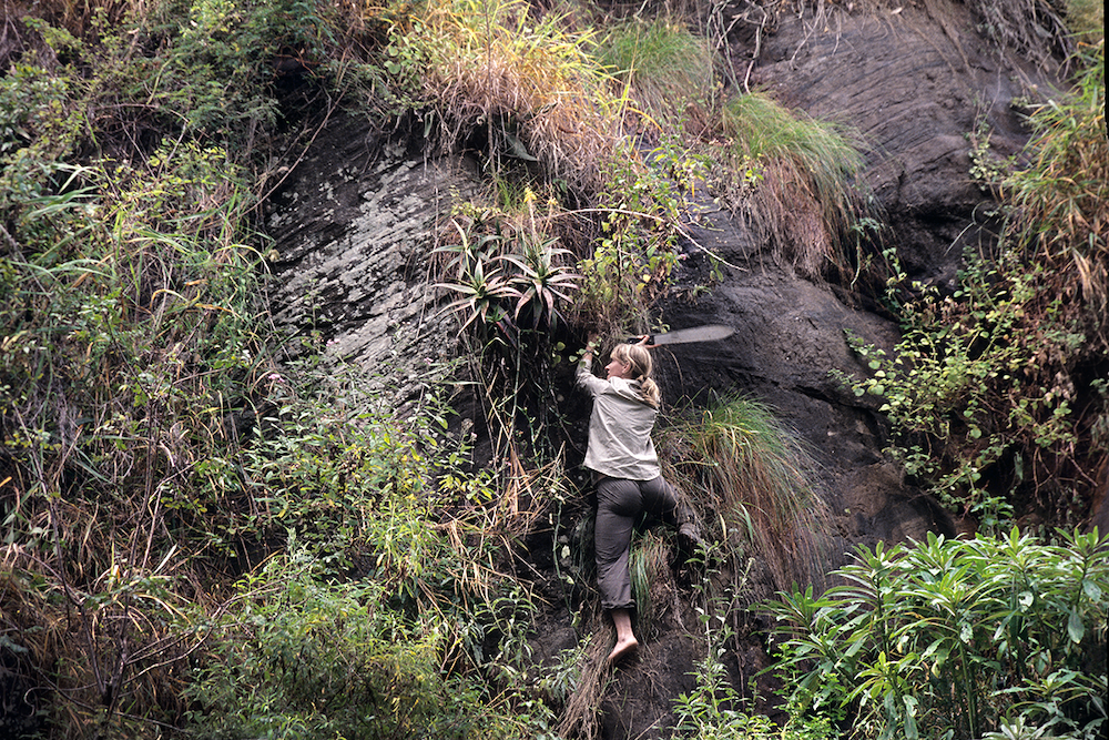 Med machete og én sko utforsker Charlotte&amp;#160; botanikken i en fjellvegg i Parefjellene i Tanzania.&amp;#160;