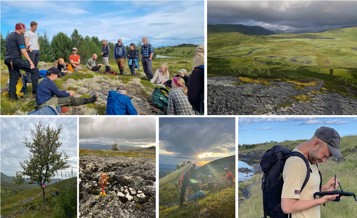 Bildet kan inneholde: anlegg, fotografi, plantsamfunn, dekk, økoregion.
