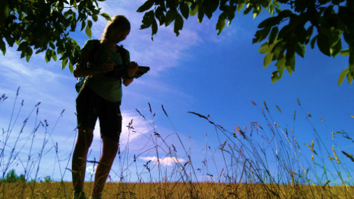blue sky, backlit figure of woman holding a pad. Foliage, grass straws surround her.