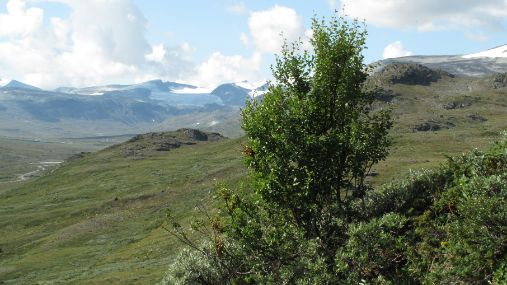 Bildet kan inneholde: fjellrike landformer, highland, fjell, vegetasjon, villmark.