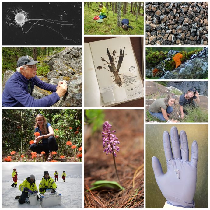 Bildet kan inneholde: fotografi, anlegg, grønn, mennesker i naturen, natur.