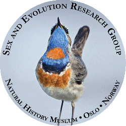 SERG logo depicting blue throat looking into the sky, on a circular grey background.