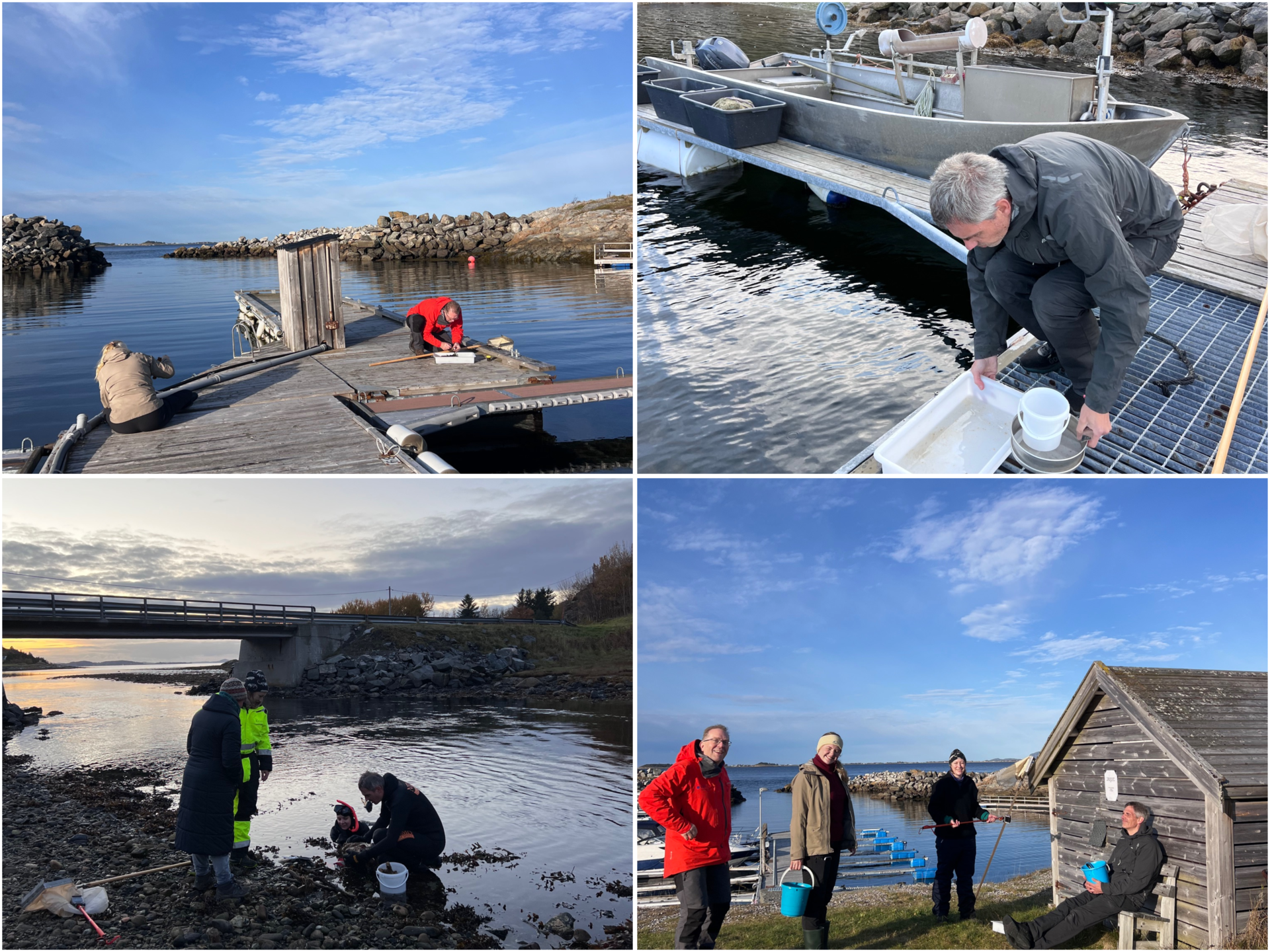 A photo collage showing field work activities