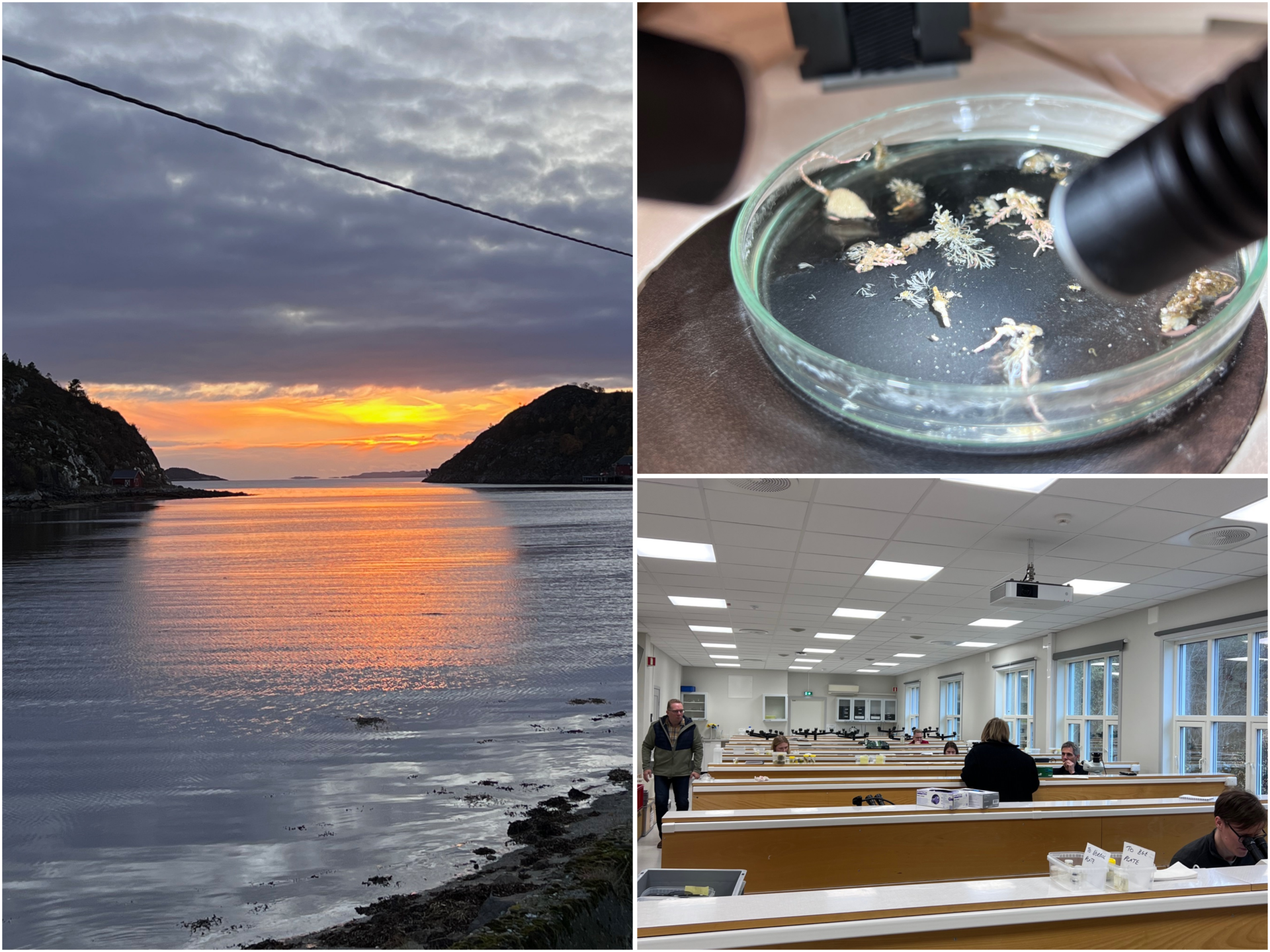 A photo collage from the workshop