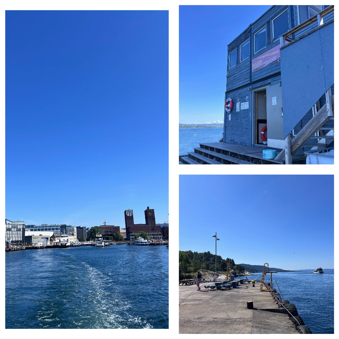 A photo collage with one image showing Aker Brygge taken from the ferry, another image show the Marinreparatørene office and the third image showing the sapling area