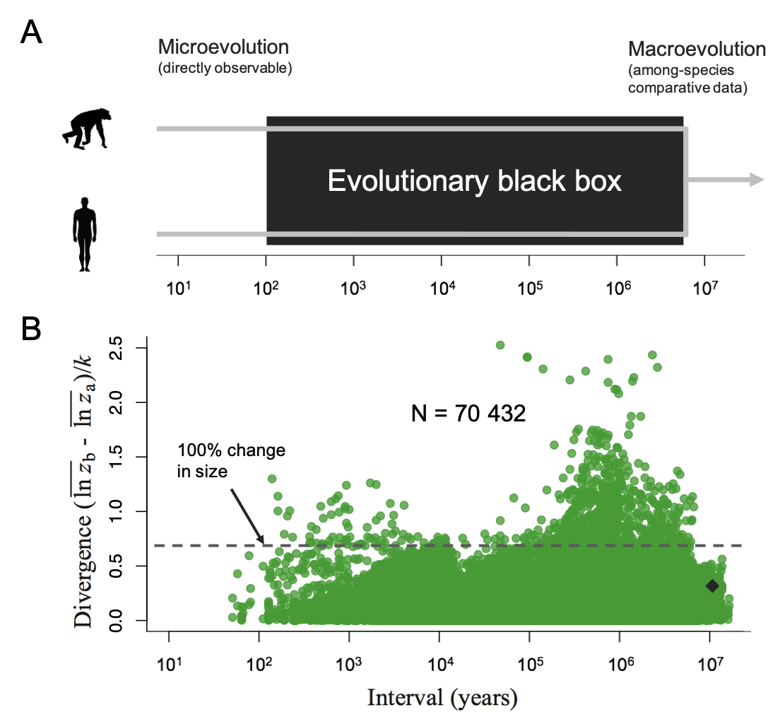 plot of evolutionary data