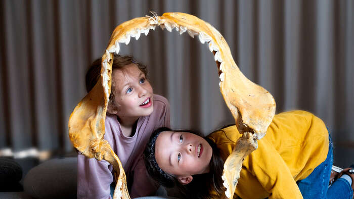 Two children inside a shark jaw