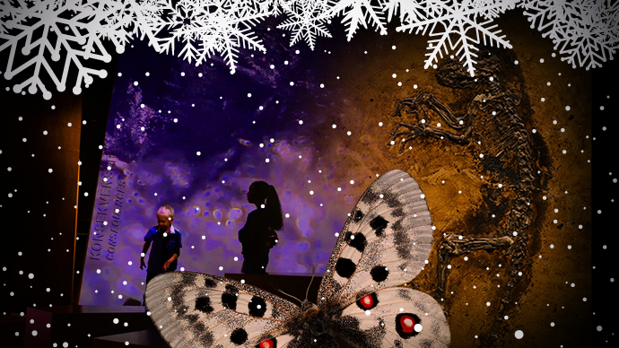 collage, fossil, kids in exhibition, butterfly, snow