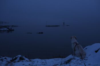 Bygdøy, 2018. Foto: Lene Finnestad