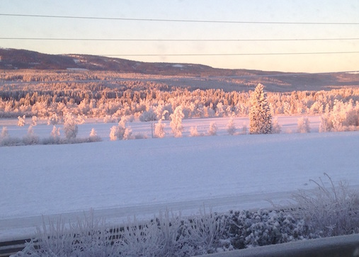 Bilde av landskap med snø, gran og lys