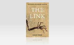 Forsiden til "The Link"