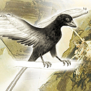 Bildet kan inneholde: fugl, nebb, fjær, maleri, vinge.
