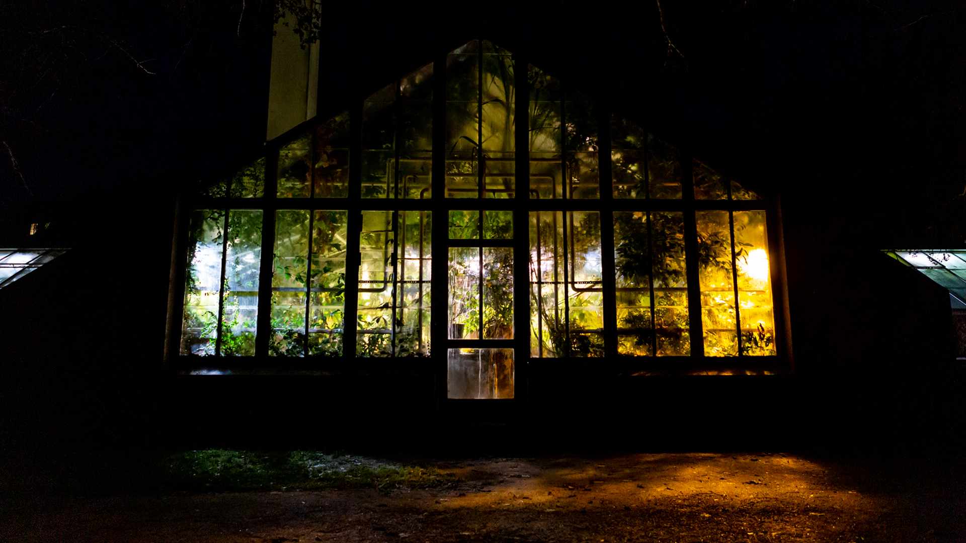 Bildet kan inneholde: lys, natt, lighting, hus, vindu.