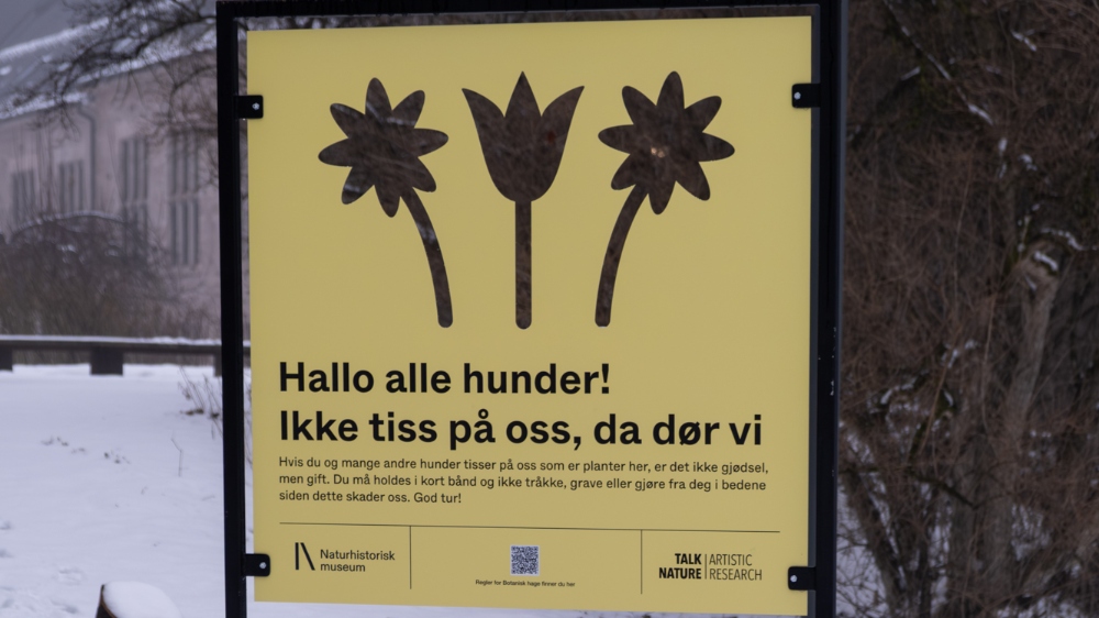 Bildet kan inneholde: font, plakat, skilt, reklame.