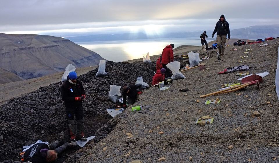 mennesker som jobber i et utgravningsfelt på svalbard.