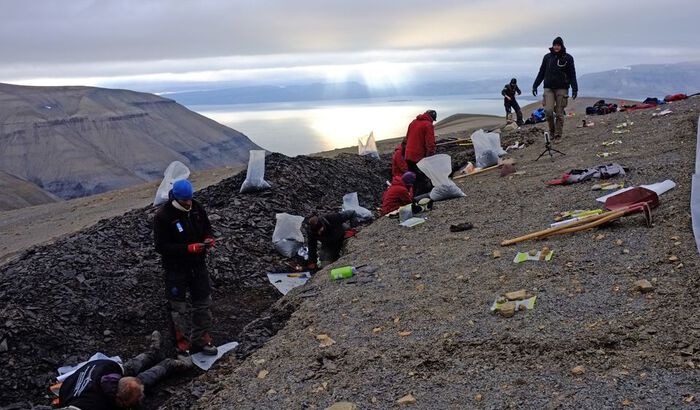 mennesker som jobber i et utgravningsfelt på svalbard.