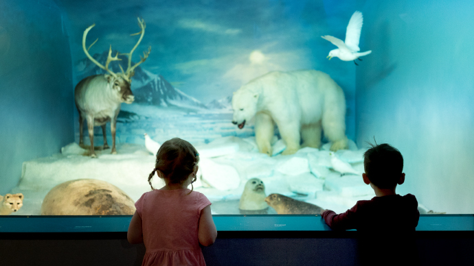 Barn ser utstilling med dyr.