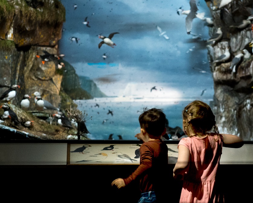 To barn ser på utstilling med fugler.