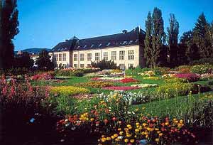 Geologisk museum