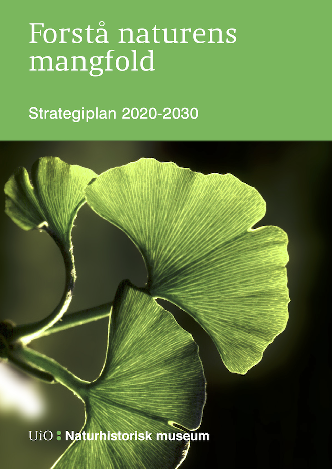 Bildet kan inneholde: anlegg, kronblad, terrestrisk plante, bunndekke, blomstrende plante.