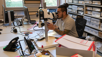 Arbeid med typesamlingen
