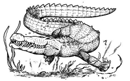 Deinosuchus