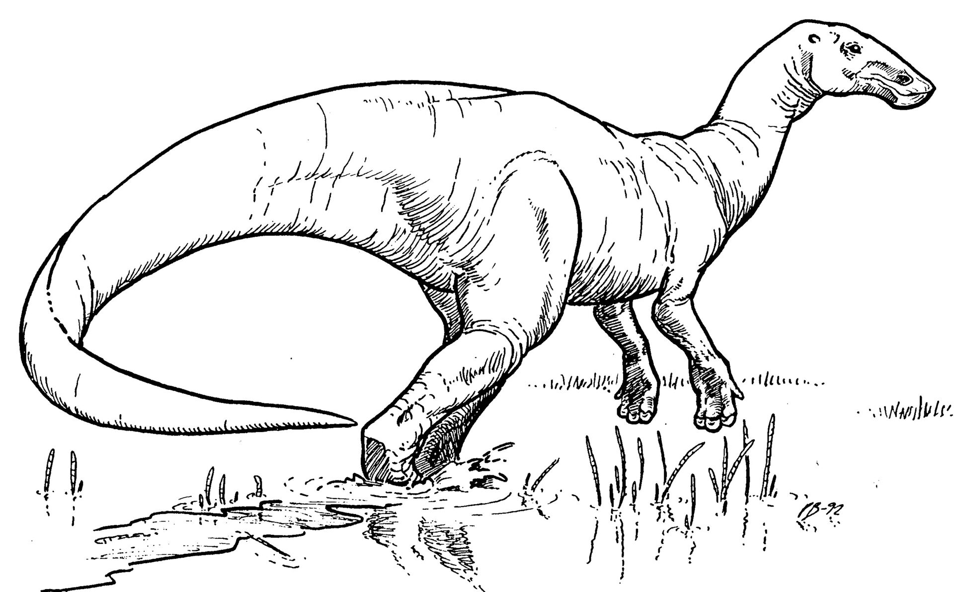 Edmontosaurus