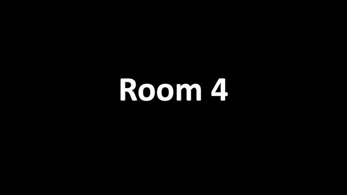slide4