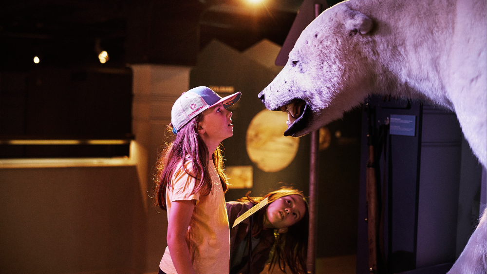 girl looking at a polar bear