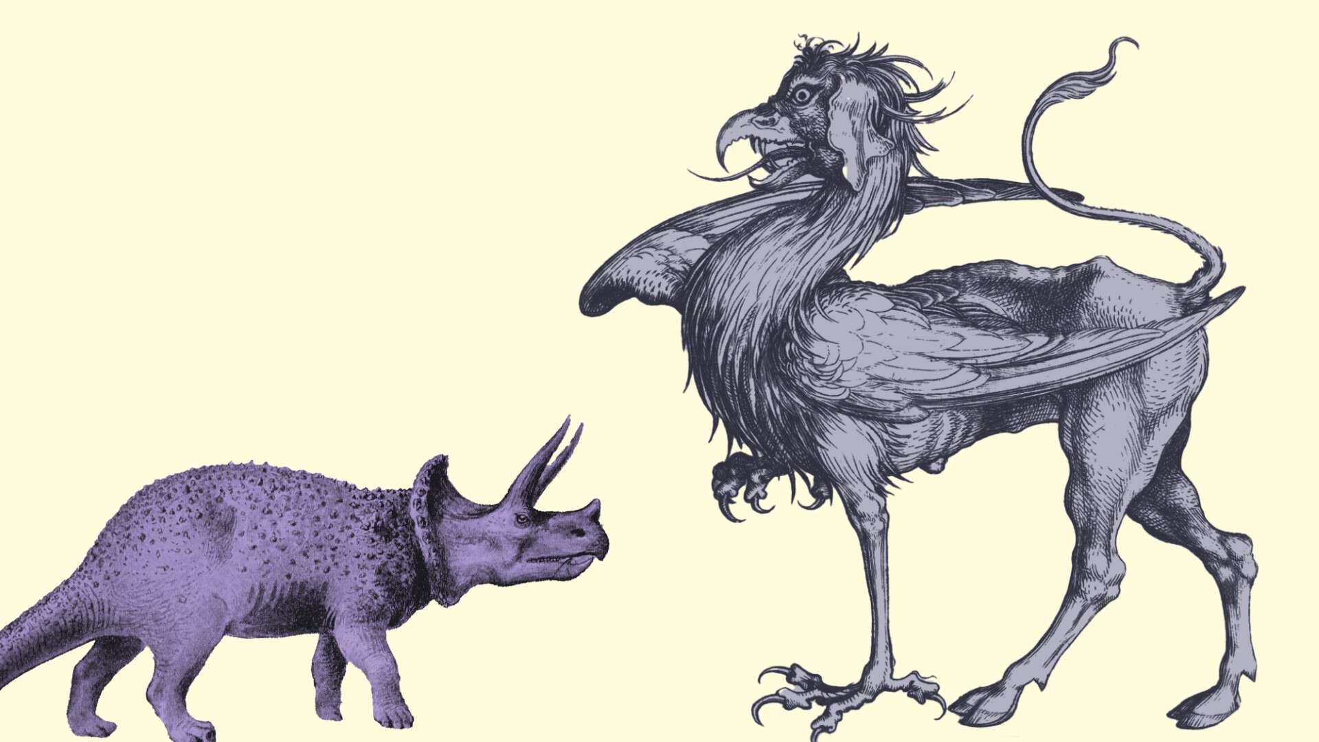 triceratops og stort dyr med vinger
