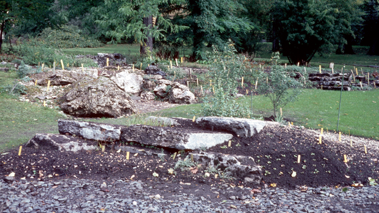 Bed med steinblokker under etablering av Fjellhagen (datering ukjent,&amp;#160;Museum for universitets- og vitenskapshistorie)