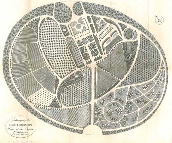 Siebkes plan for Botanisk hage, datert 1823.