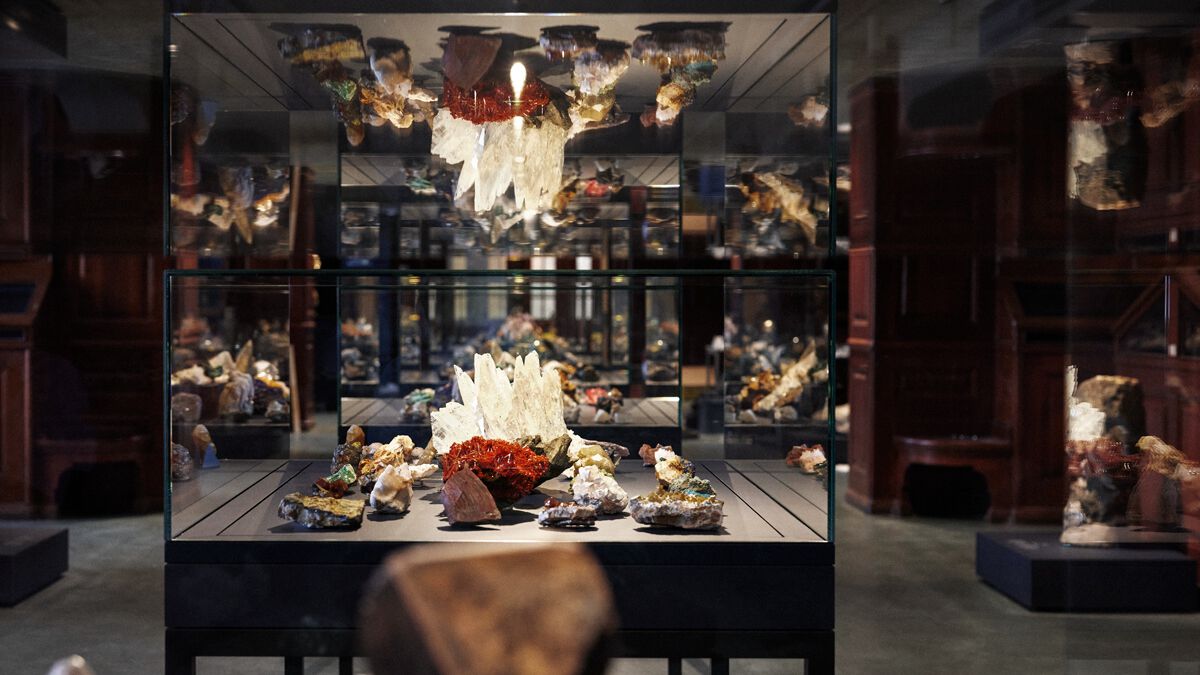 display case with minerals and rocks, glass with reflections, antique interior